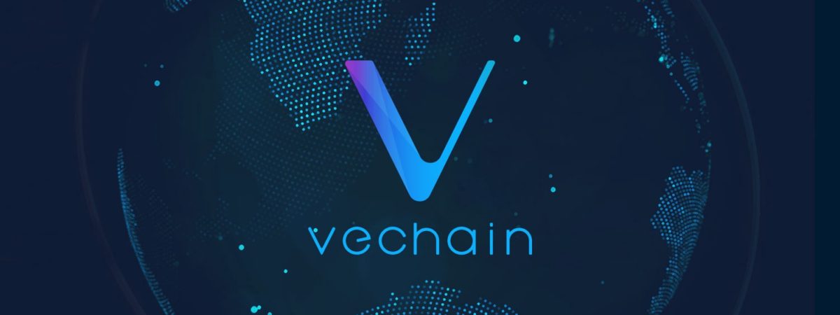 vechain blockchain transfer