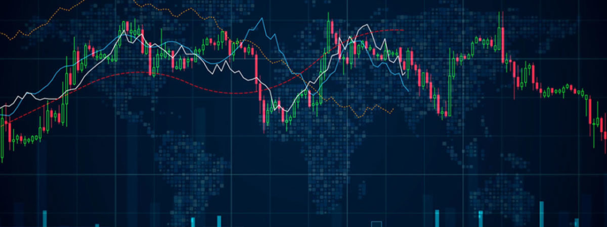 crypto currency market down
