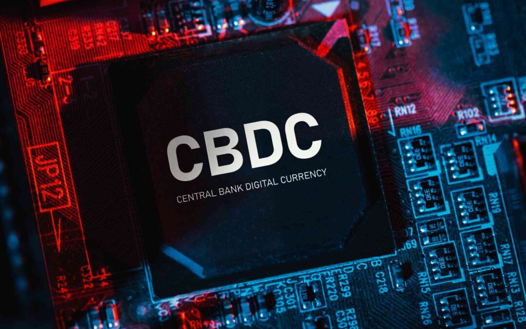 Intersection of CBDCs and Government Oversight